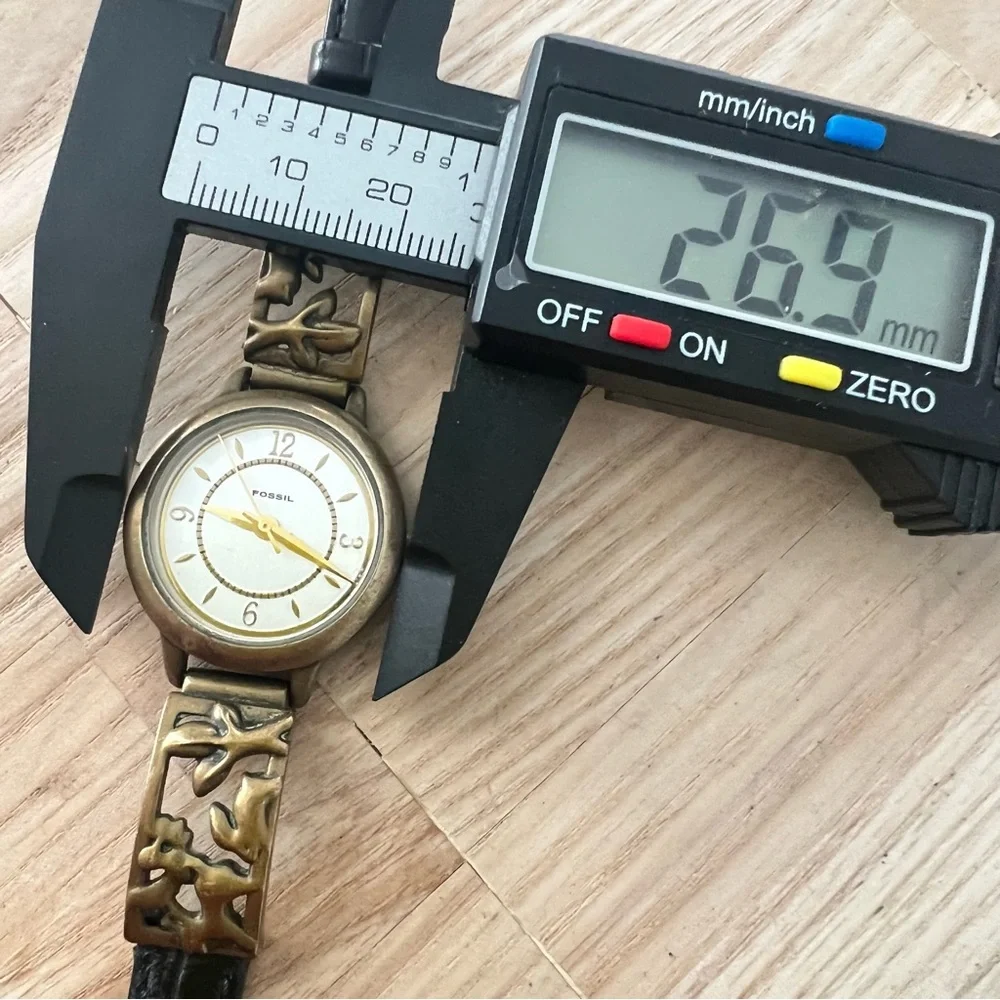 Fossil brand model